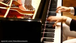 Beethoven Sonata Op 106 Hammerklavier Part 5 mov 4 Valentina Lisitsa