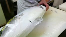 Japanese Food  YELLOWTAIL AMBERJACK Sashimi Braised Fish Kanazawa Seafood Japan