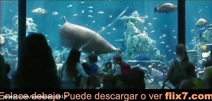 P E L I C U L A Aquaman 2018 En Español Latino Castellano HD 1080P