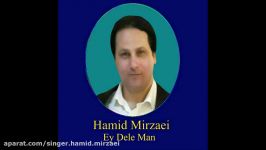 Singer Hamid Mirzaei Ey Dele Man 