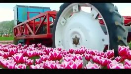 Amazing Home Invention farming machine  Modern High Technology Equipment