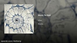 موسیقی گروه عرفان 2018 Roots Album  More Ta Nali by Irfan