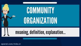 What is COMMUNITY ORGANIZATION What does COMMUNITY ORGANIZATION mean