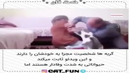 اگر باور ندارید گربه ها وفا هستند این کلیپ ببینید