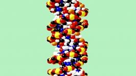 ساختار DNA Structure DNA