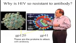 why is HIV so resistant to Antibody