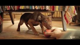 Watch A DOG’S WAY HOME 2019 Online Free  Full Movie Download