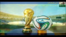تیم ملی فوتبال ایران در جام جهانی 2014 فوتبال برزیل