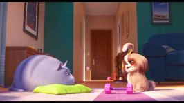 تریلر جدید انیمیشن The Secret Life Of Pets 2