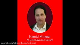 Singer Hamid Mirzaei Ye Dele Divoone Daram 