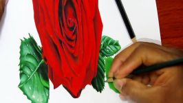 How to Draw a 3D Red Rose  Anamorphic Drawing