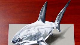 Drawing a 3D Shark  Anamorphic Drawing