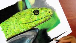 How to Draw a Realistic Snake  Time Lapse