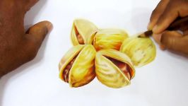 How to Draw Realistic Pistachio Nuts  Time Lapse