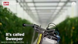 رباتی هوشمند برای چیدن میوه