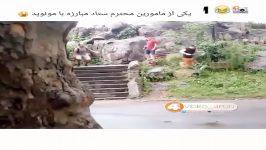 کلیپ خنده دار مامور محترم مبارزه مونوپد