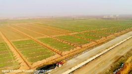 پروژه طرح ساخت شبکه آبیاری زهکشی دشت شیبلو پلدشت