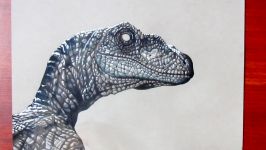 Drawing Velociraptor  Jurassic world  Realistic Drawing