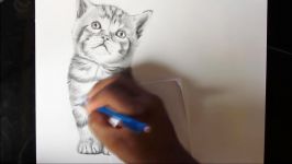 How to Draw a Realistic Baby Kitten  Drawing Animal Hair