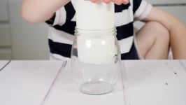 How To Grow A Bean Plant In A Jar  Fun Kids Science Experiment