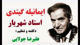 شعر جنجالی استاد شهریار  ترجمه فارسی  رضا جولایی