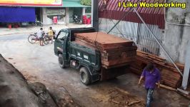 Machine Sawmill Working Cutting Wood Biggest Trees Chainsaws