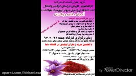 کارگاه آموزشی حضوری کشت زعفران گلخانه ای ایروپونیک مشهد