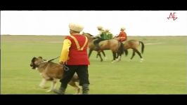 Turkmen Alabai Dogs Turkmen Film