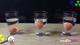 آزمایش علوم فیزیک شناور ماندن،تخم مرغ،بروی اب نمک