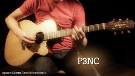 Takamine™ Pro Series P3NC Acoustic Electric Guitar