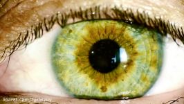سابلیمینال چشم سبز.