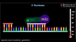 qPCR Probe Animation