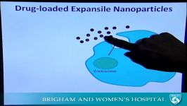 Nanoparticles for Cancer Treatment Video  Brigham and Womens Hospital