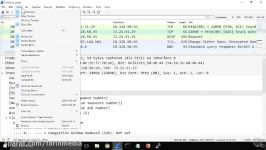 فیلم آموزش Wireshark Traffic Analysis Customizing the Interface ARP ICMP ...