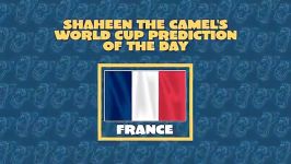پیش بینی بازی المان الجزایر فرانسه نیجریه