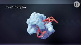 CRISPR فناوری ویرایش ژن