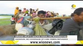 Exclusive Syrian Grand Mufti backs Indias position on Rohingya crisis