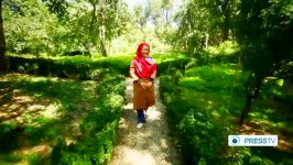 IRAN  Iran’s National Botanical Garden has 8000 plant species