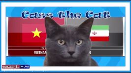 پیش بینی گربه پیشگو جام ملت ها بازی ایران ویتنام