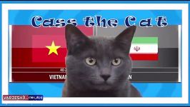 پیش بینی گربه پیشگو جام ملت ها بازی ایران ویتنام