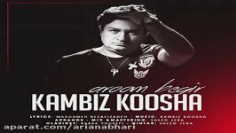 Kambiz Koosha  Aroom Begir کامبیز کوشا  آروم بگیر 