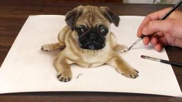 3D Drawing of sweet Pug Dog│Trick ART speed painting