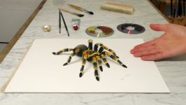 Spider 3D DrawingAmazing terrible Trick Art dibujar bien tarantula