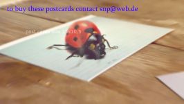 Greeting Cards by Stefan Pabst 3D Drawings on postcard