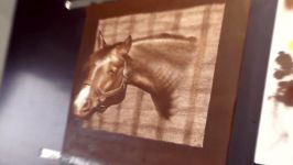 Drawing a horse 3D Trick Art