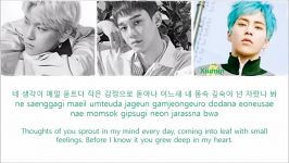 EXO CBX blooming day lyrics