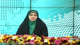 صحبت های سخنگوی ارتش جمهوری اسلامی در مورد حادثه هواپیما