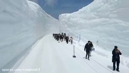 دیواره های برفی در Tateyama ژاپن