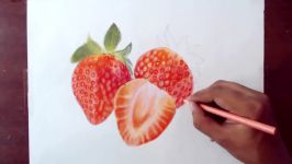 Drawing strawberry  Prismacolor Pencils