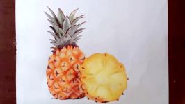 Drawing Pineapple  Prismacolor pencils